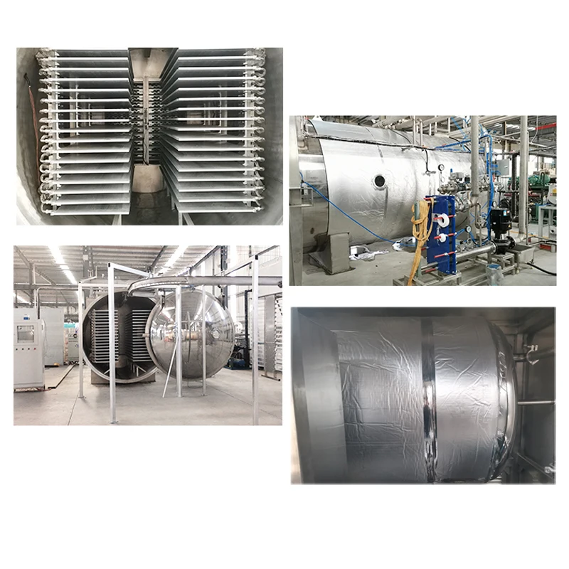 Automatic Commercial Freeze Drying Machine Sublimation Condensation Dryer Vacuum Lyophilizer Price Freeze Drying