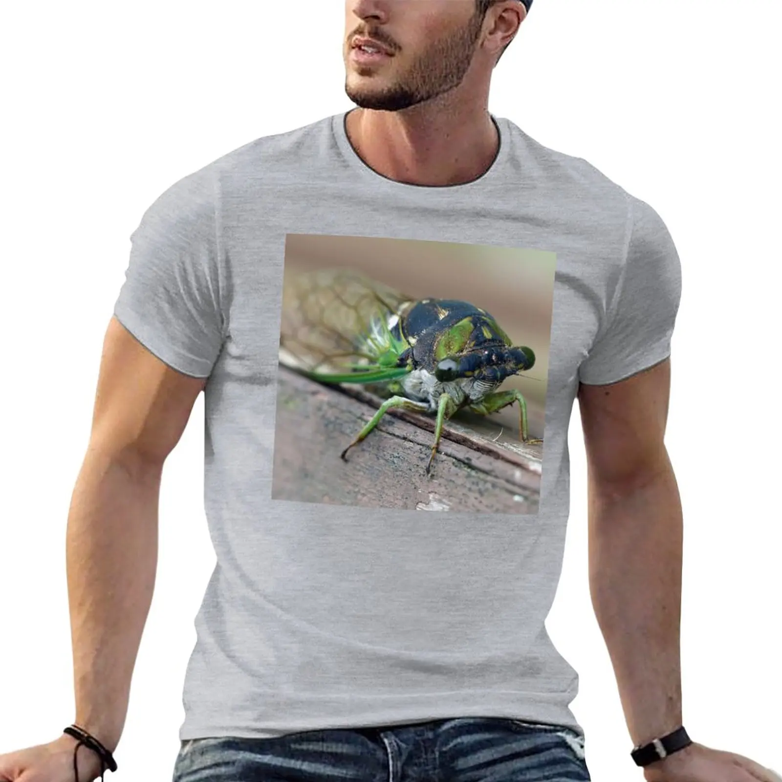 Cicada T-Shirt summer tops Aesthetic clothing customized t shirts t shirts for men pack