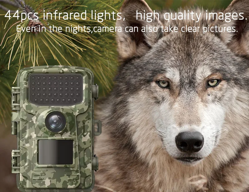 Outdoor Sports Hunting Cameras - Outdoor Hunting Video Camera review and price