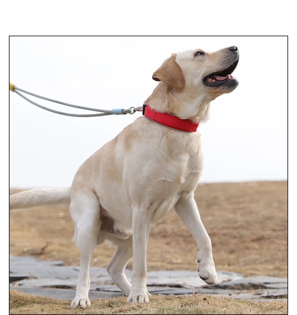 Taktisches Hundehalsband, verstellbares Hundehalsband für mittelgroße und große Hunde, Golden Retriever-Halsband mit Kontrollgriff, hochwertige Schnalle. – Detail 22