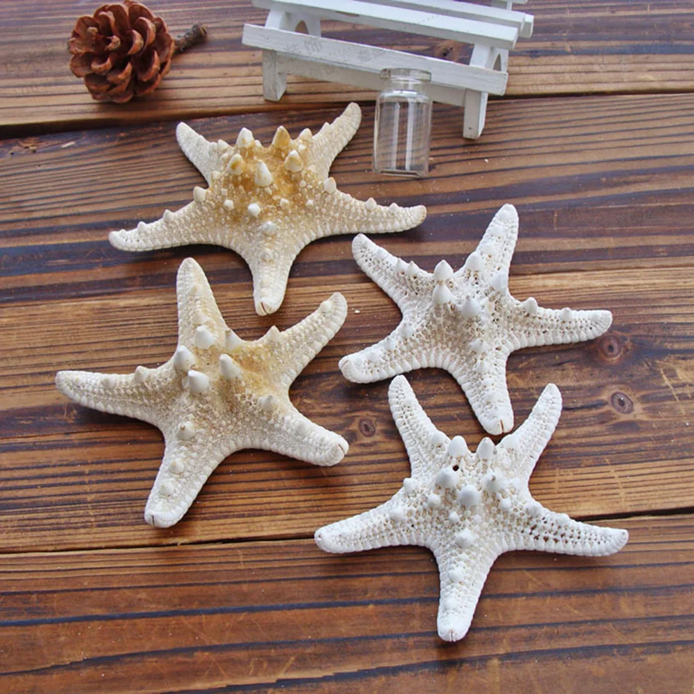 

2pcs Sea Star Ornaments Natural Ocean Theme Craft Decor For Home Wedding Party Photo Props Living Room Bedroom Gallery Display