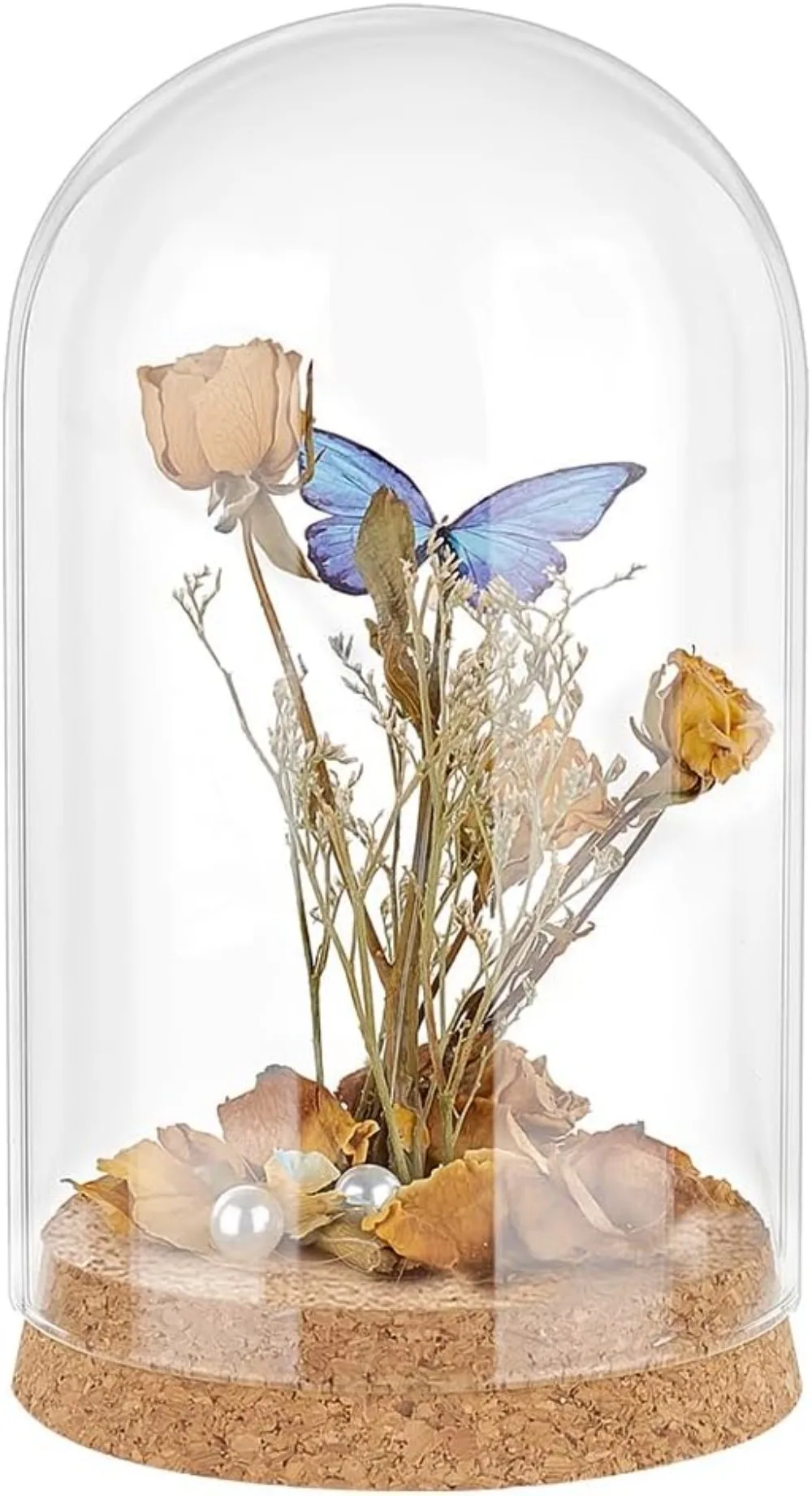 

Glass Display Dome Cloche Glass Bell Jar with Cork Small Glass Bottles Dome Decorative Jars Cloche Display Case making kit