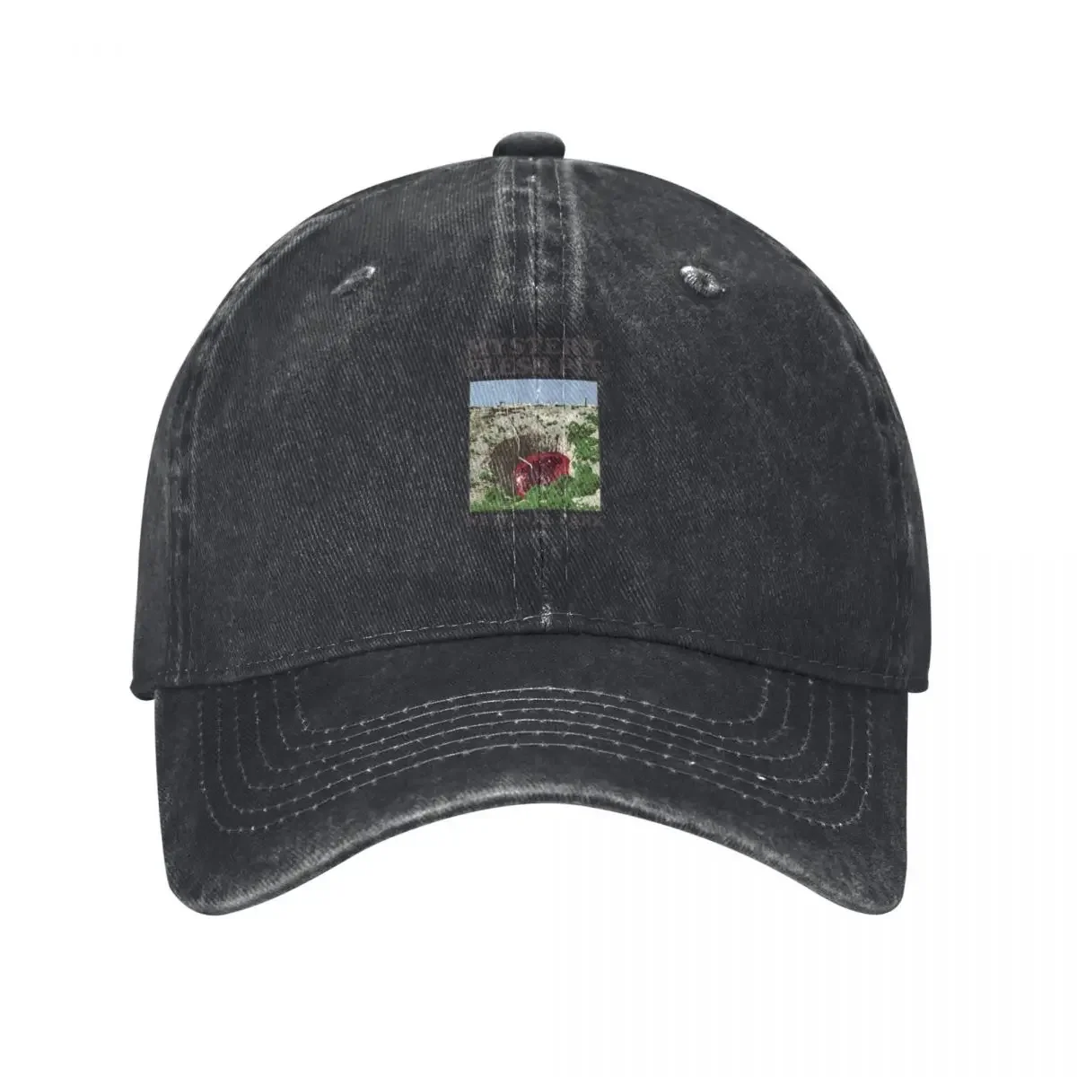 Mystery Flesh Pit National Park A Disaster Reclamation Venture Baseball Cap Sports Cap |-F-| Women Men's