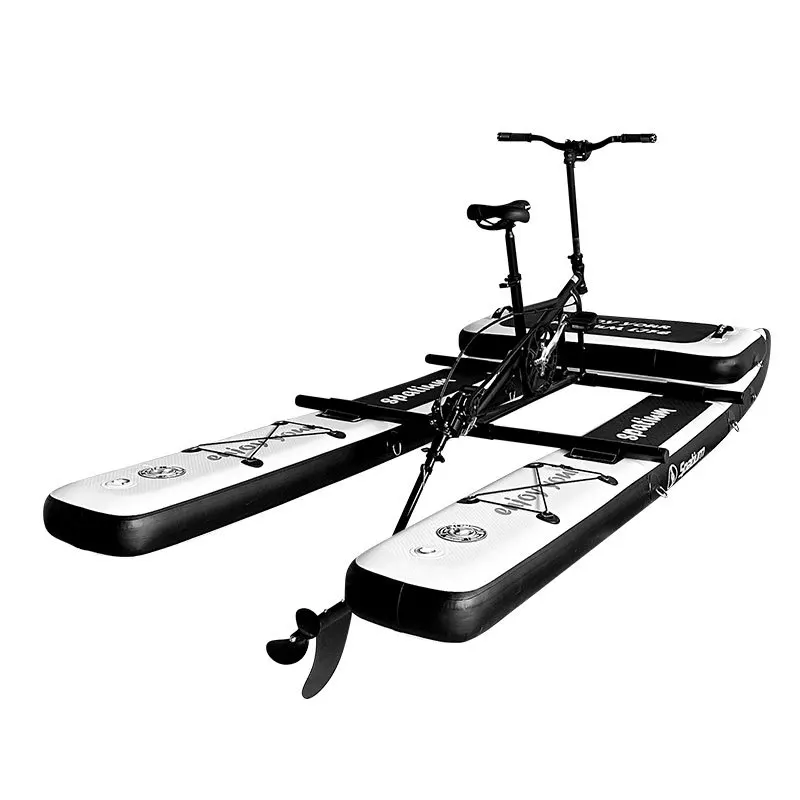 

Pedaling sightseeing boat water bike