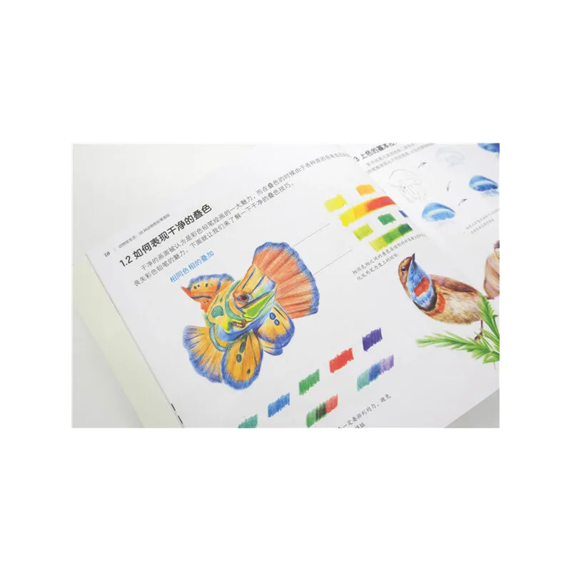 38 Animals Color Pencil Drawing Book Bird, Cat, Rabbit Colored Pencil Zero-based Hand Drawn Painting Book