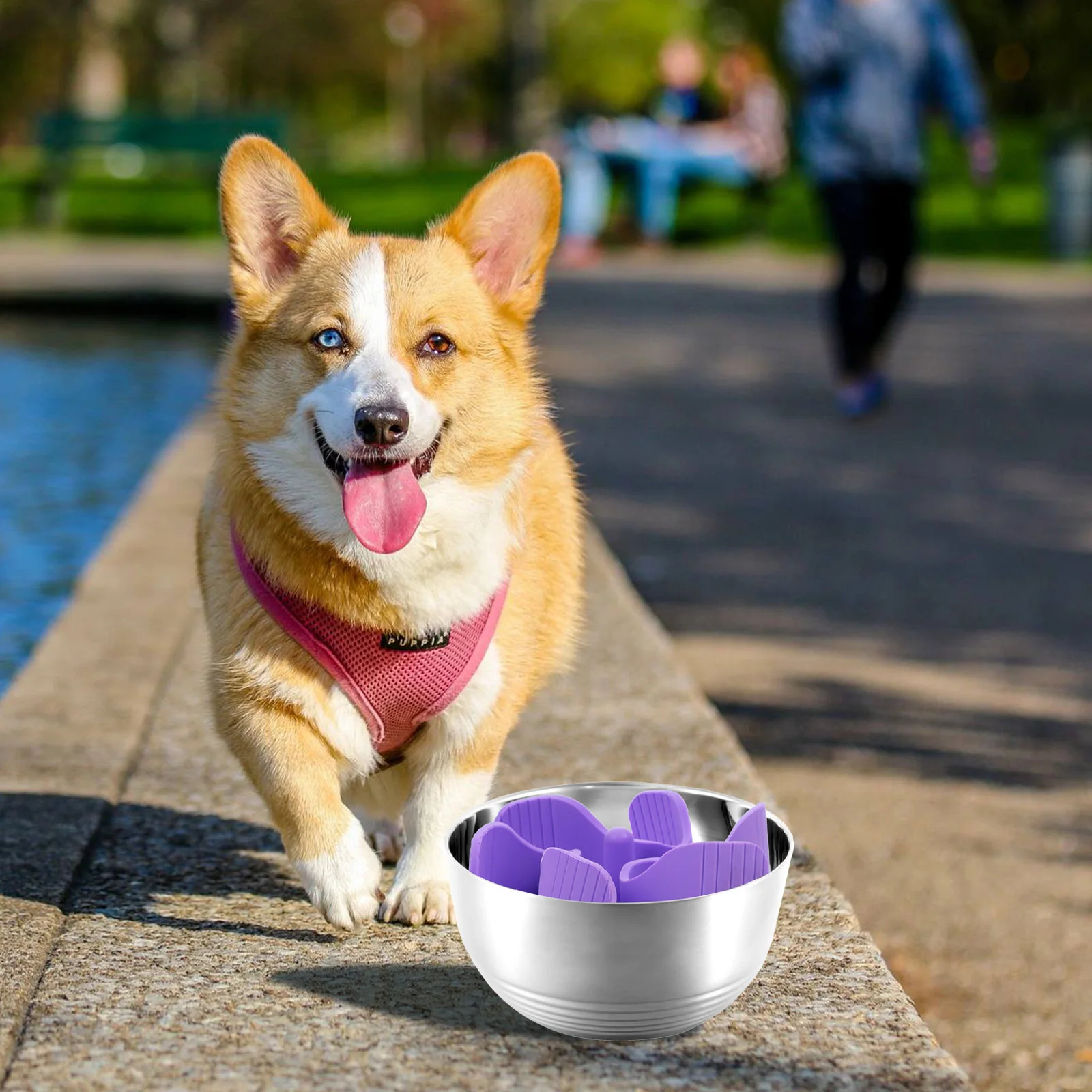 

Slow Feeder Dog Bowl Small Size Violet Silicone Insert for Wet Dry Food Easy Clean Pet Supplies Dog Accessories Slow Eating