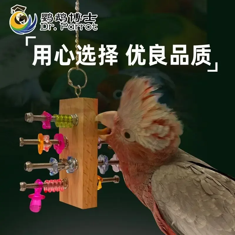 A Bird Puzzle Nibbling Entertainment Boredom Development Of Intelligence Grinding Teeth To Prevent Biting
