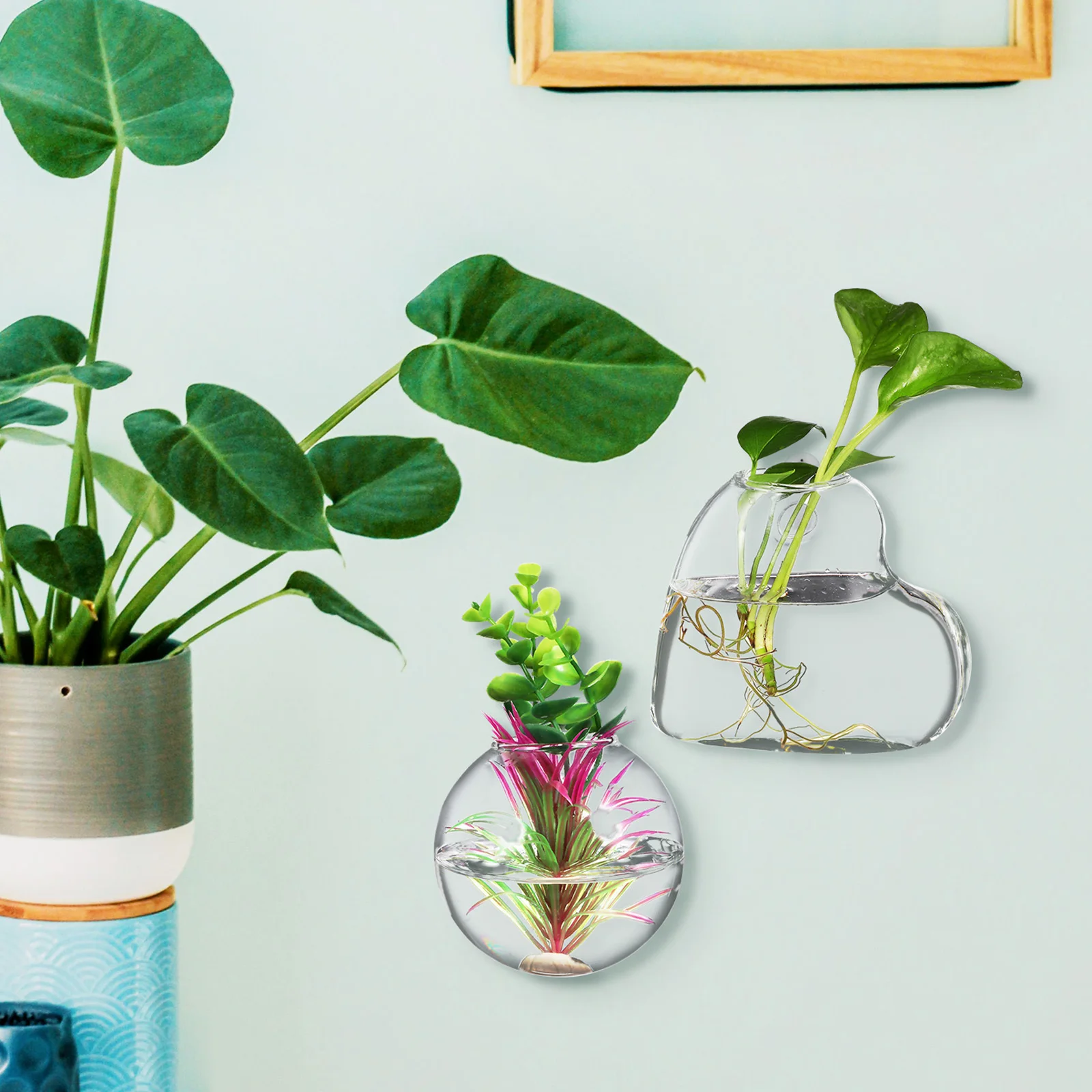 

2Pcs Transparent Glass Wall Propagation Station Hanging Planters Durable Borosilicate Glass Hydroponic Root View Holder