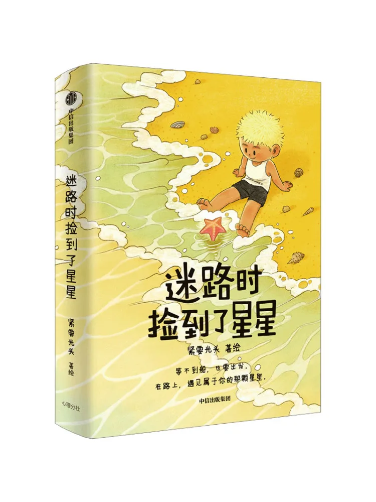 Book-Winshare I Found a Star While Lost in the Maze