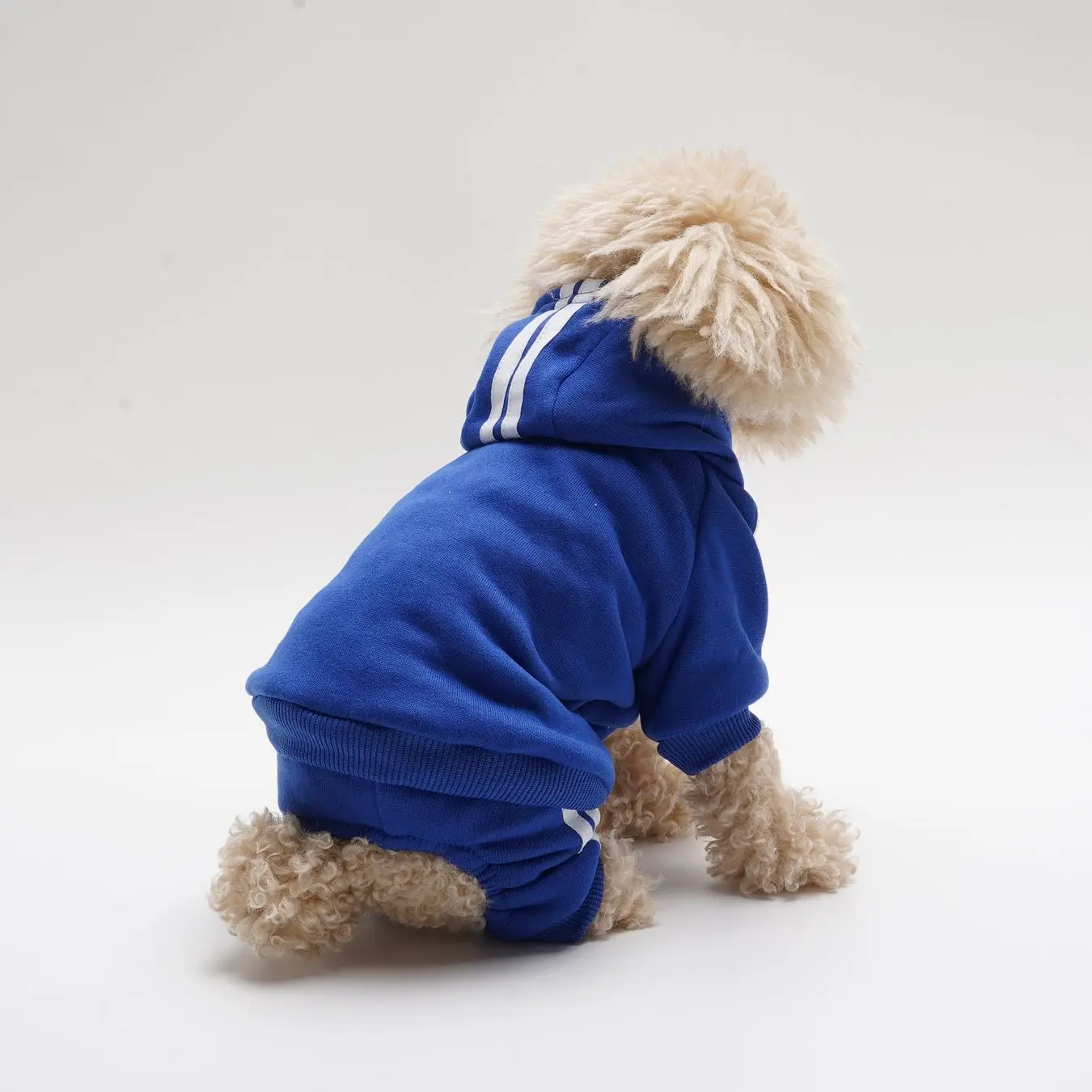 Autumn Winter Hooded Casual Pet Dog Sweatshirt Striped Sports Pants Solid College Style Sportswear Set for Dogs