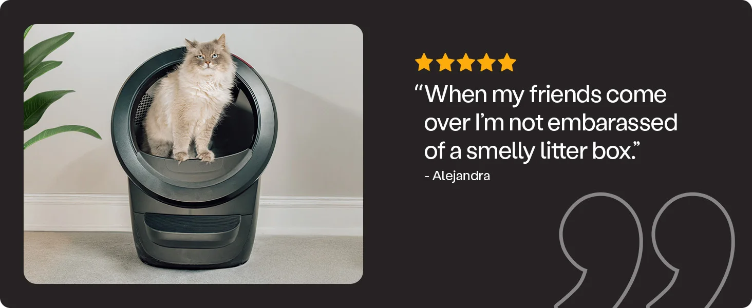 7_Reviews_Fits In Every Household