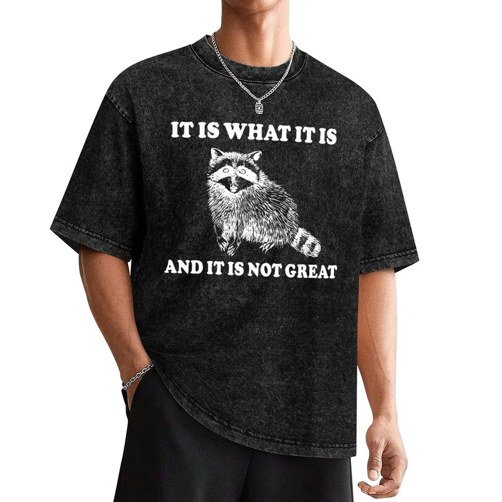 

It Is What It is And It is Not Great Sad Raccoon Meme T-Shirt for a boy plus size tops mens funny t shirts