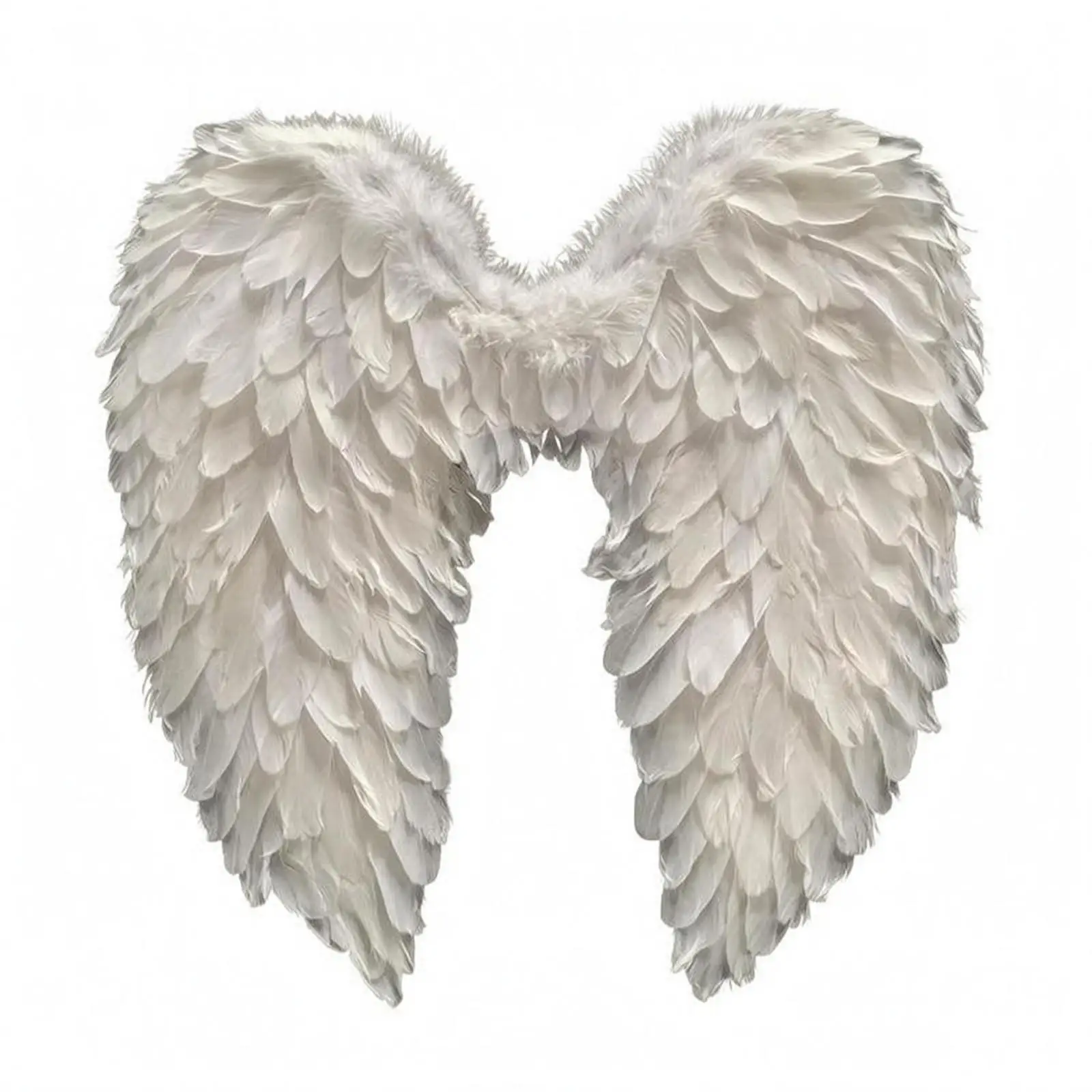 Black Feather Feathered Attachments Layered Feathers Feather Feathered