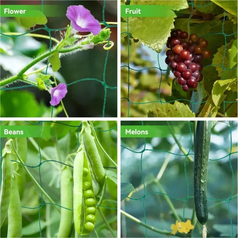 Garden Plant Climbing Net for Tomato Fruits Vegetables Grapes Nylon Trellis Netting Planting Supplies Gardening Accessories
