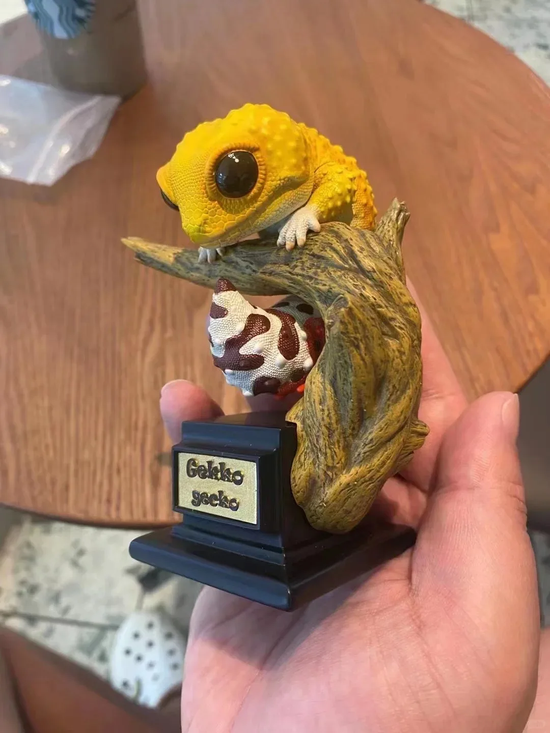 Livre d'histoire naturelle : Contes Gecko - Modèles Gecko (Figures d'animaux de reptiles) : Gecko léopard, Gecko géant, Gecko à queue de bouton