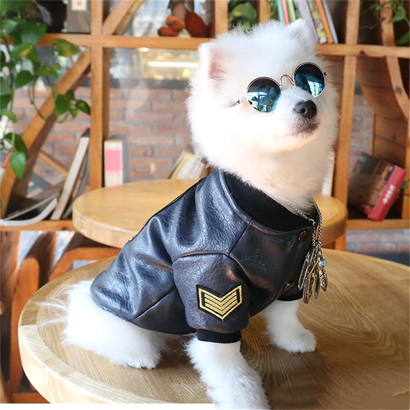 Cute Pet Costumes For Cats And Dogs Funny Cat Costume Stand Up Collar Jacket