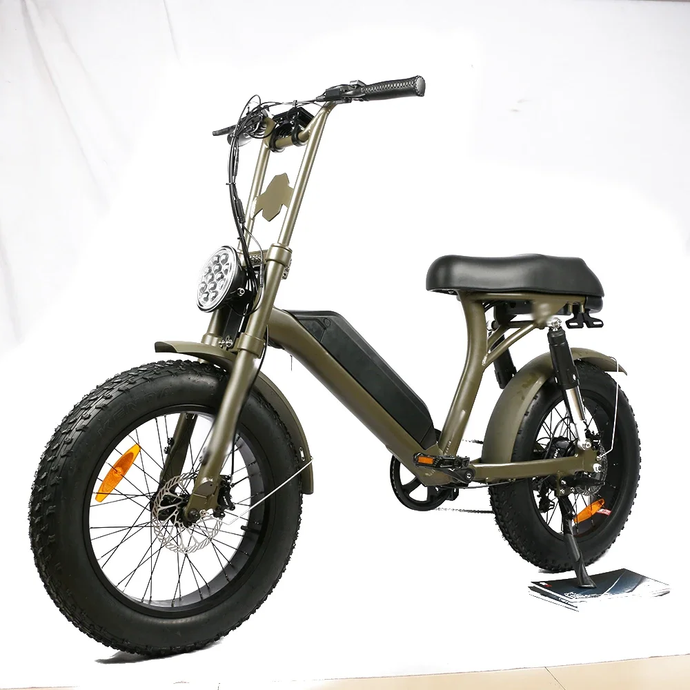 

Retro 20'' Fat Tire E - Bike 750W 1000W High Powered Electric Moped Bicycles for Adults City Commuting