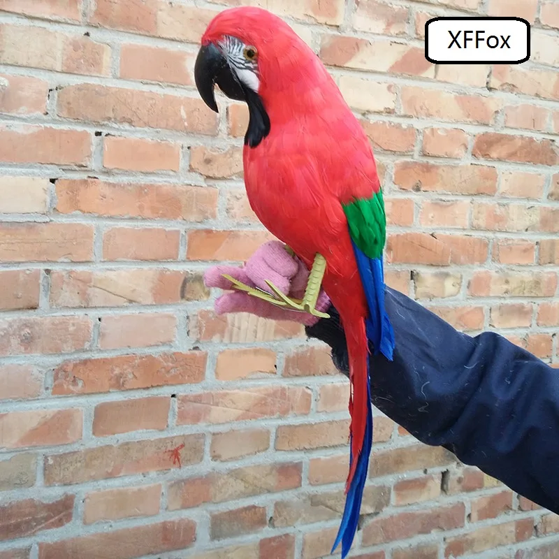 big real life parrot model foam&feather red parrot gift about 60cm d0180