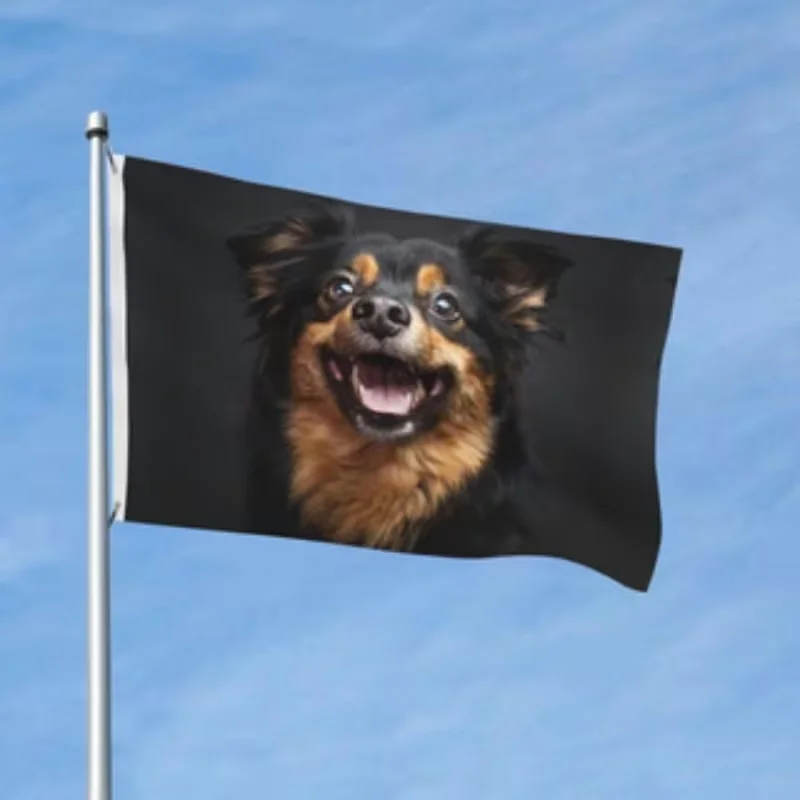 Thumbnail 3 - #5 Best Banners to Buy In 2026