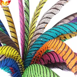 ZPDECOR 80-90CM 32-36 Inch ZEBRA Lady Amherst Pheasant Feathers Dyed