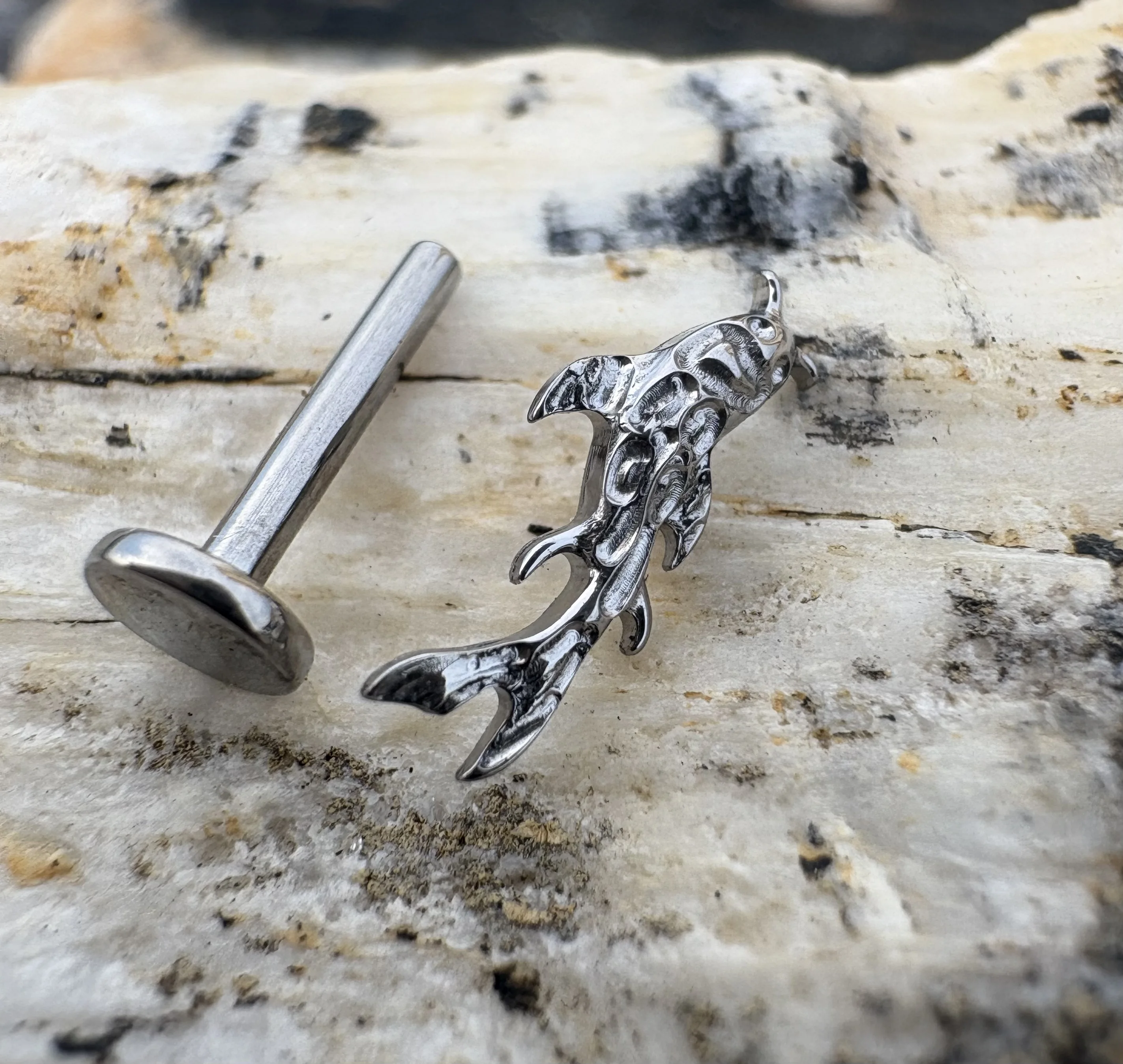 16 جرام زرع الصف التيتانيوم ASTM F136 موضوع داخلي شكل الأسماك الأذن Labret الغضروف اللولب أقراط للأذن ثقب مجوهرات للجسم