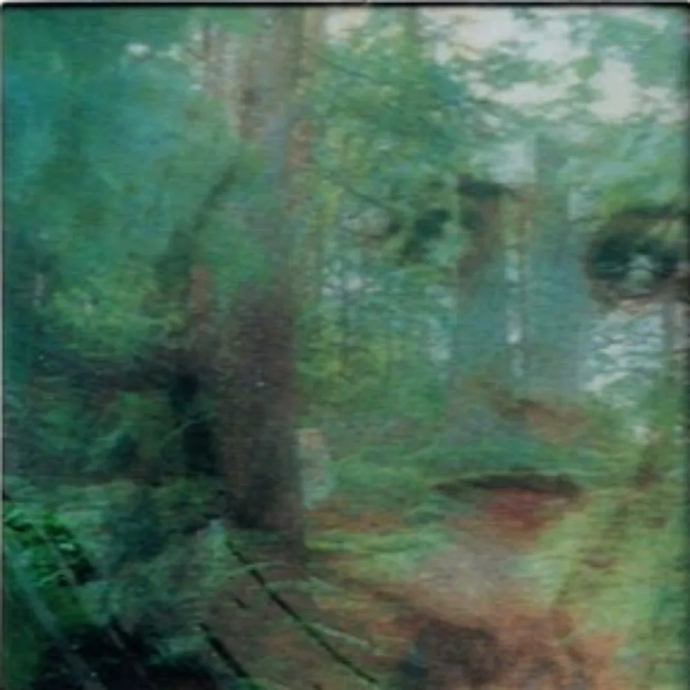 秘密の庭からの歌 30周年記念CD - 音楽愛好家のための癒しの魅力を持つ時代を超越したニューエイジのメロディー