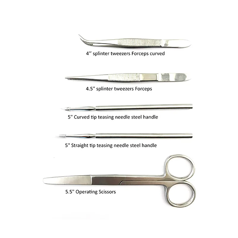 22 قطعة معدات تدريس التشريح مسبار من الفولاذ المقاوم للصدأ، مقص، ملاقط، مجموعة أدوات تجريبية للطلاب