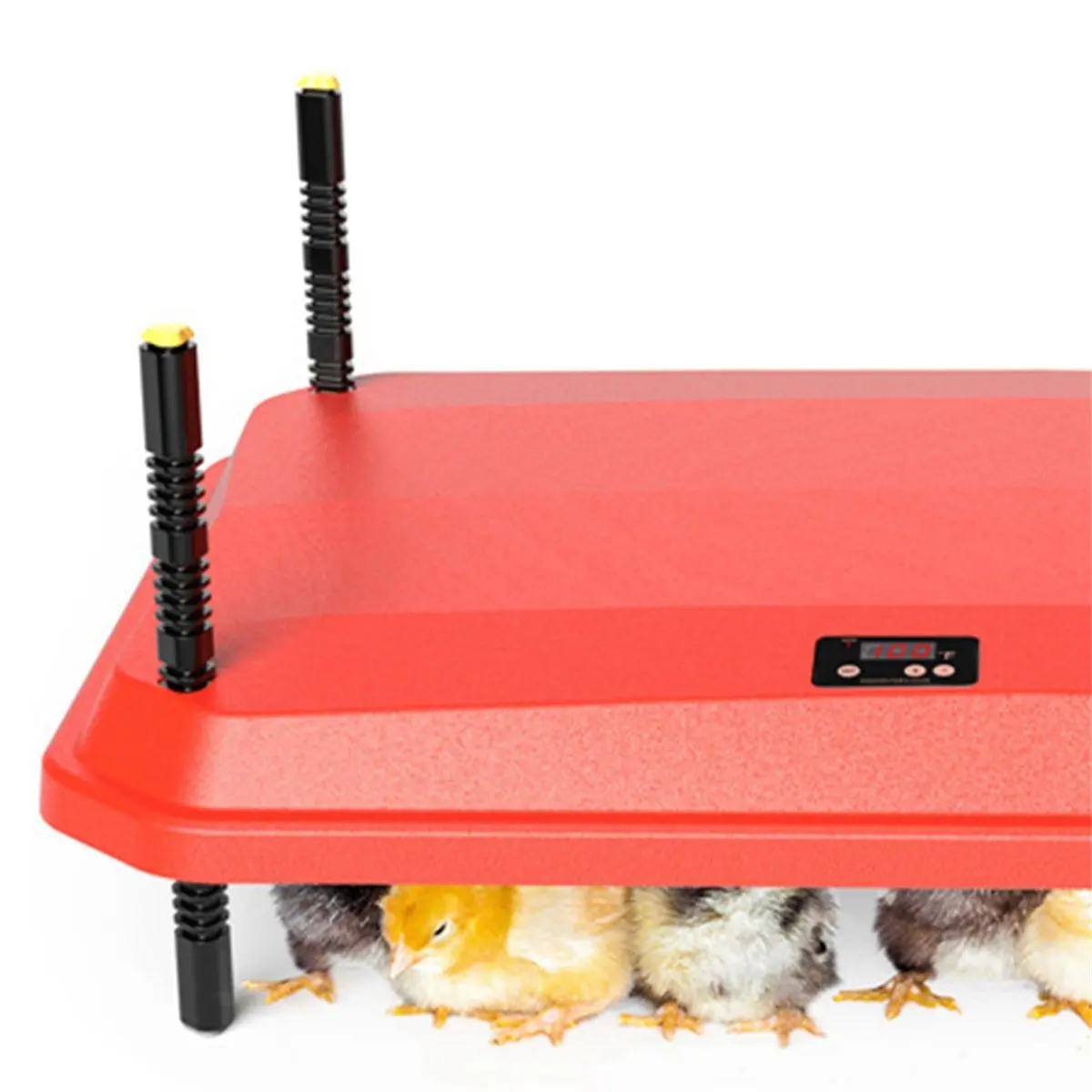 super-sale electric-chick-brooder-heating-plate-adjustable-height-chick-cage-heater-chicken-warmer-us-plug