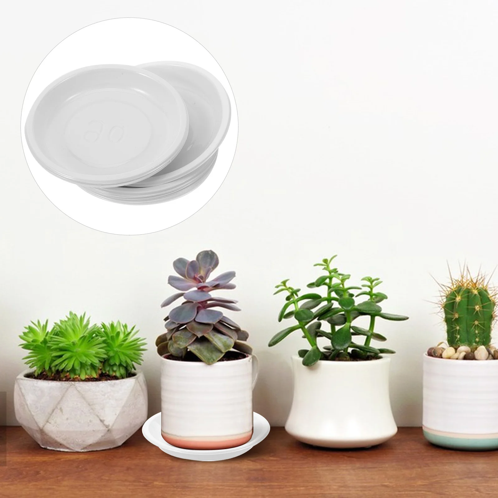 

10Pcs Round Plastic Flower Pot Tray Stable Plant Saucer Indoor Planter Drainage Tray Bonsai Pot Holder Plastic Water Container