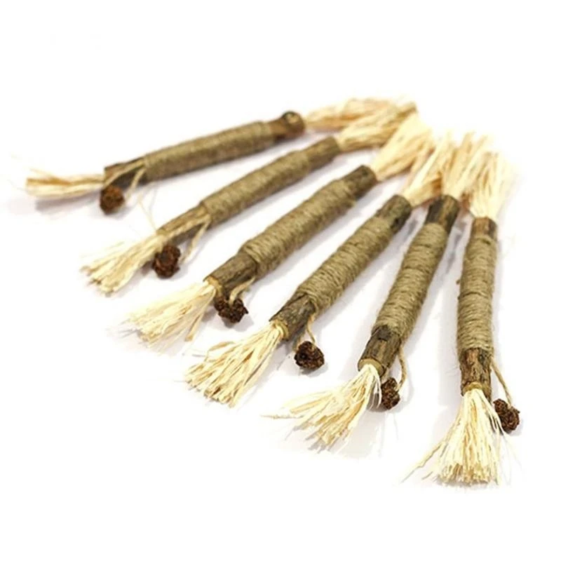 

Matatabi Catmint for Indoor Kitten Lick Matatabi Dental Care Molar Tools for Cat Chew Toy Cleaning Teeth Molar Tool