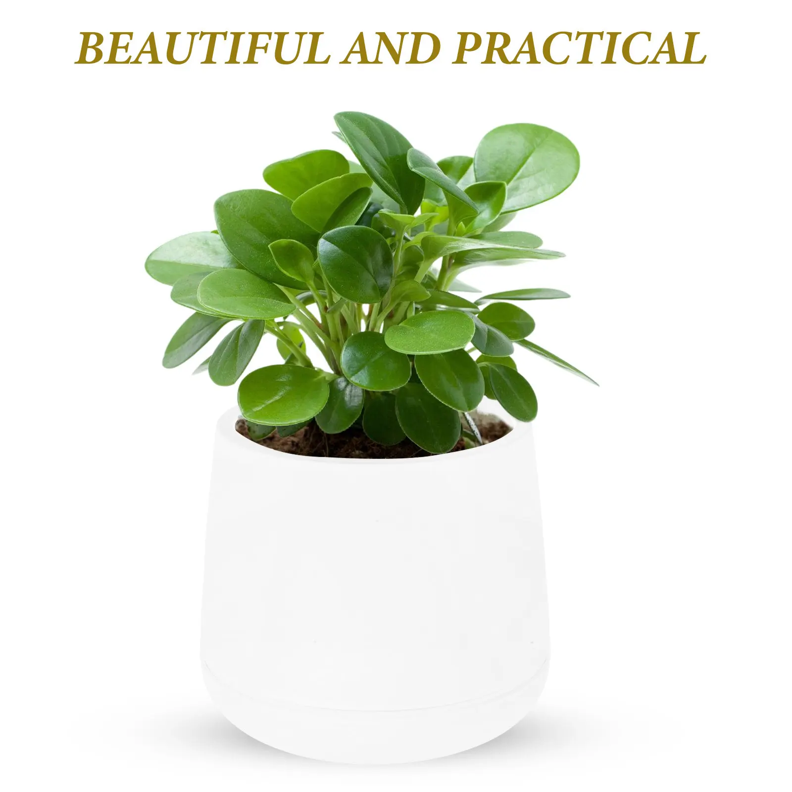 2Pcs Stylish Round Plastic Plant Pots Featuring Ventilation Holes Drainage Tray Ideal for Indoor Outdoor Plants Succulents
