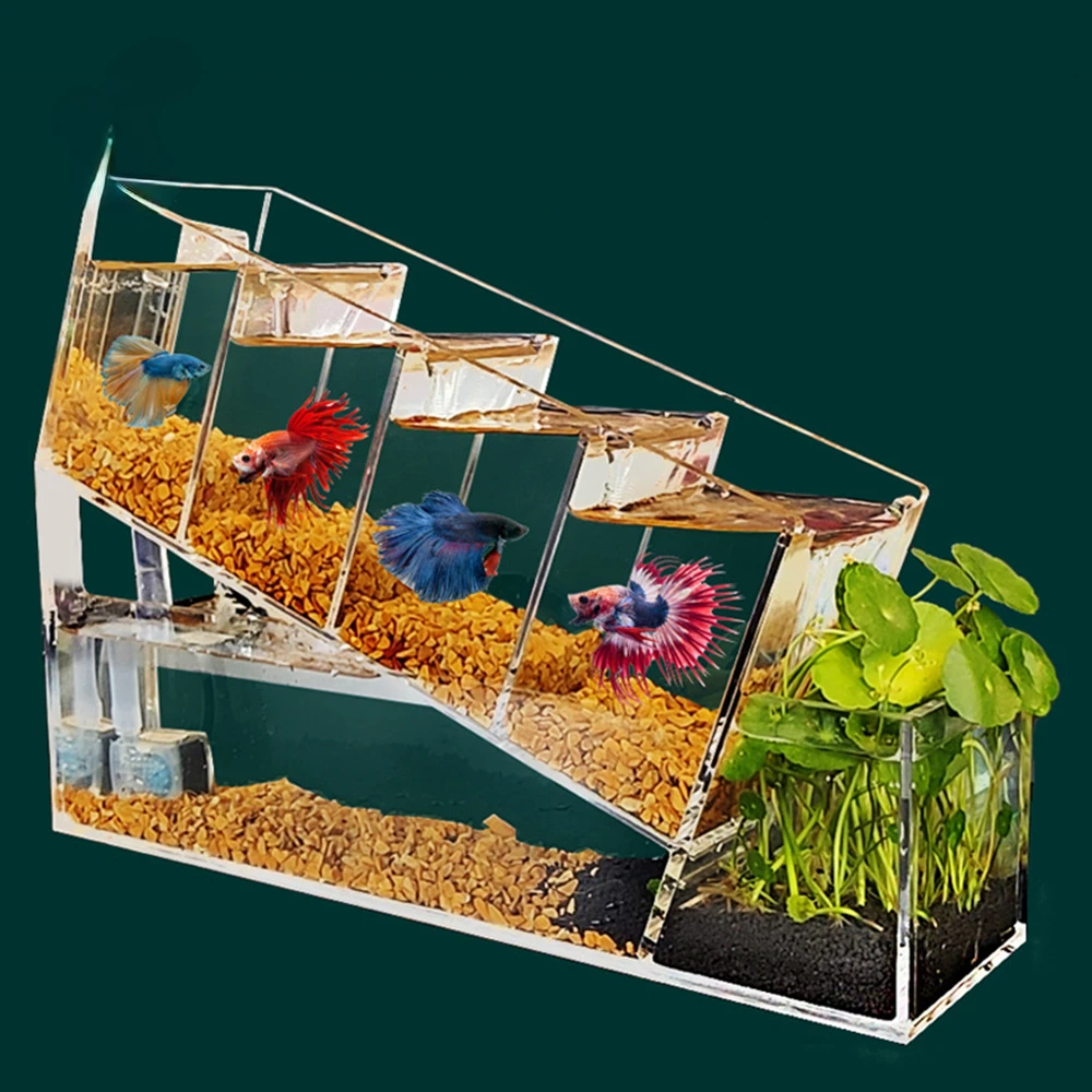 hot-selling aquarium transparent acrylic betta fish tank aquarium fish tank automatic circulation filter