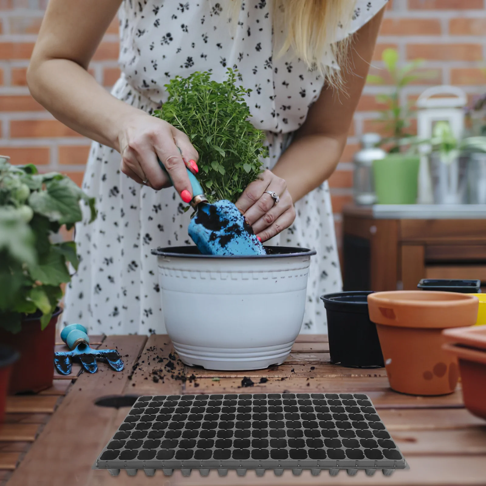 

10Pcs Plastic Nursery Tray 128 Cells Seed Sprouter Tray for Garden Easy Removal Growing Trays DIY Bonsai Plastic Sprouter