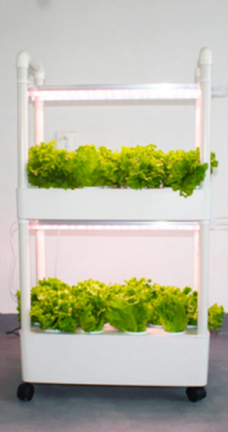 New Type NFT Hydroponic Growing Systems with Light 2 Layers 28 Holes Home Use Vegetable Planter Kits