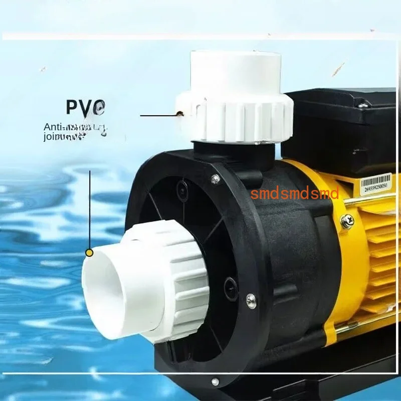Sea Water Pump 1.2HP Water Pump For Whirlpool Spa Hot Tub And Salt Aquaculture 220V Anti-corrosion