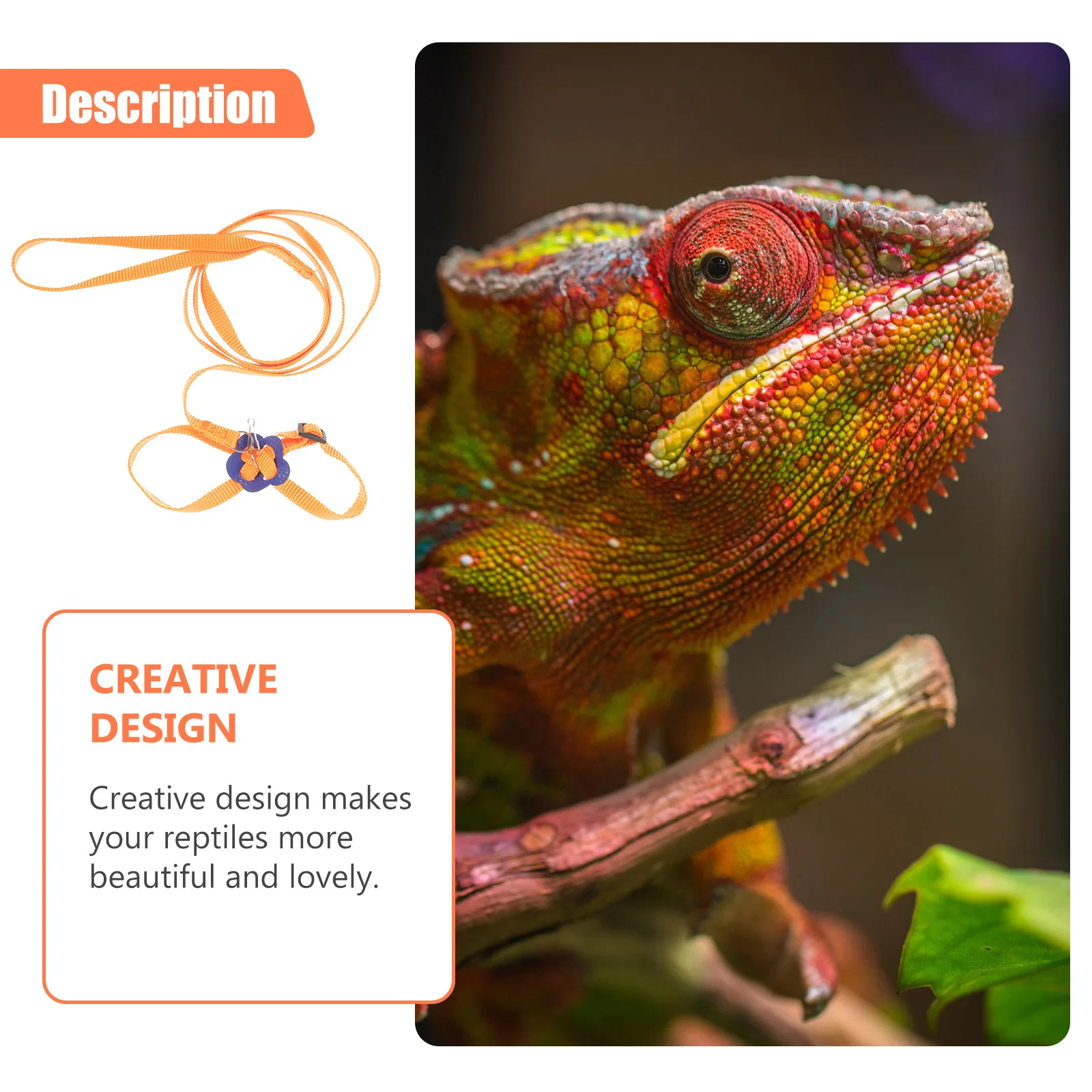 

Pet Leash Reptile Harness Adjustable Design Lightweight Durable Material Lizard Walking Rope Small Animal Traction Strap