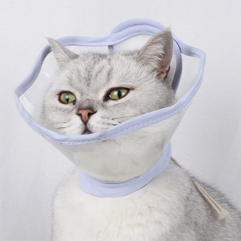 Post Hygienics Cone Collar Ensuring Recovery for Cats Dogs Stop Licking