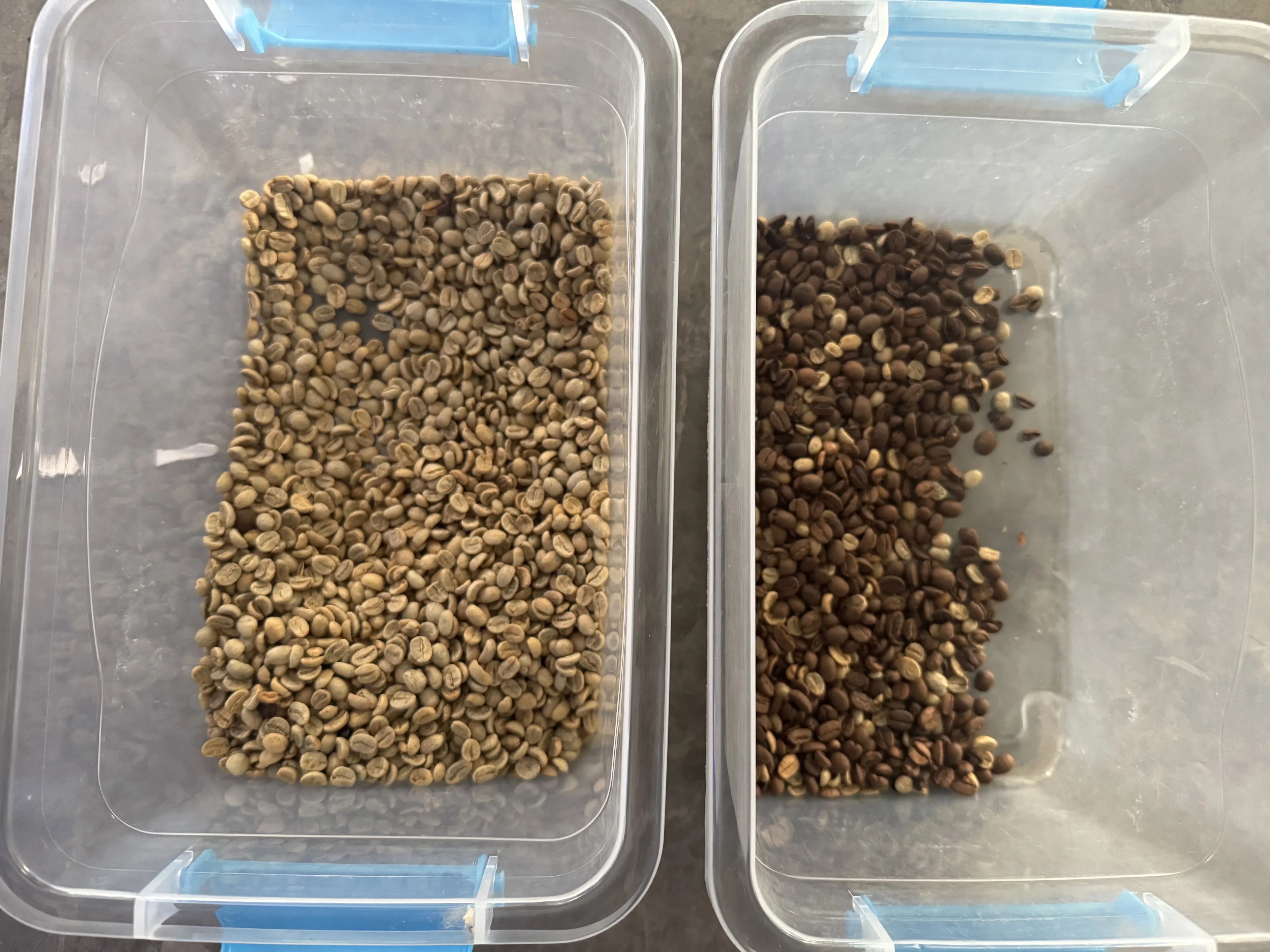 Coffee Bean Color Sorter Nut Processing Machinery Raw Coffee Fruit Sorting Cooked Price Equipment