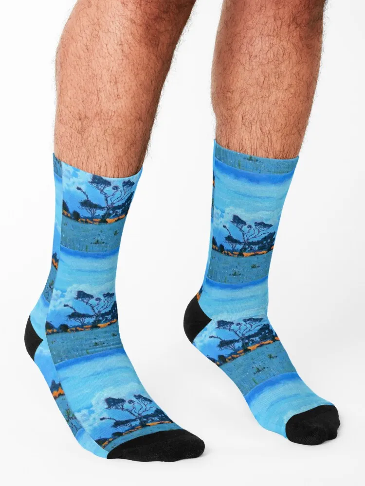 West Cork Trees, Irlanda Calcetines Año nuevo compresión hip hop Calcetines Mujer Hombre