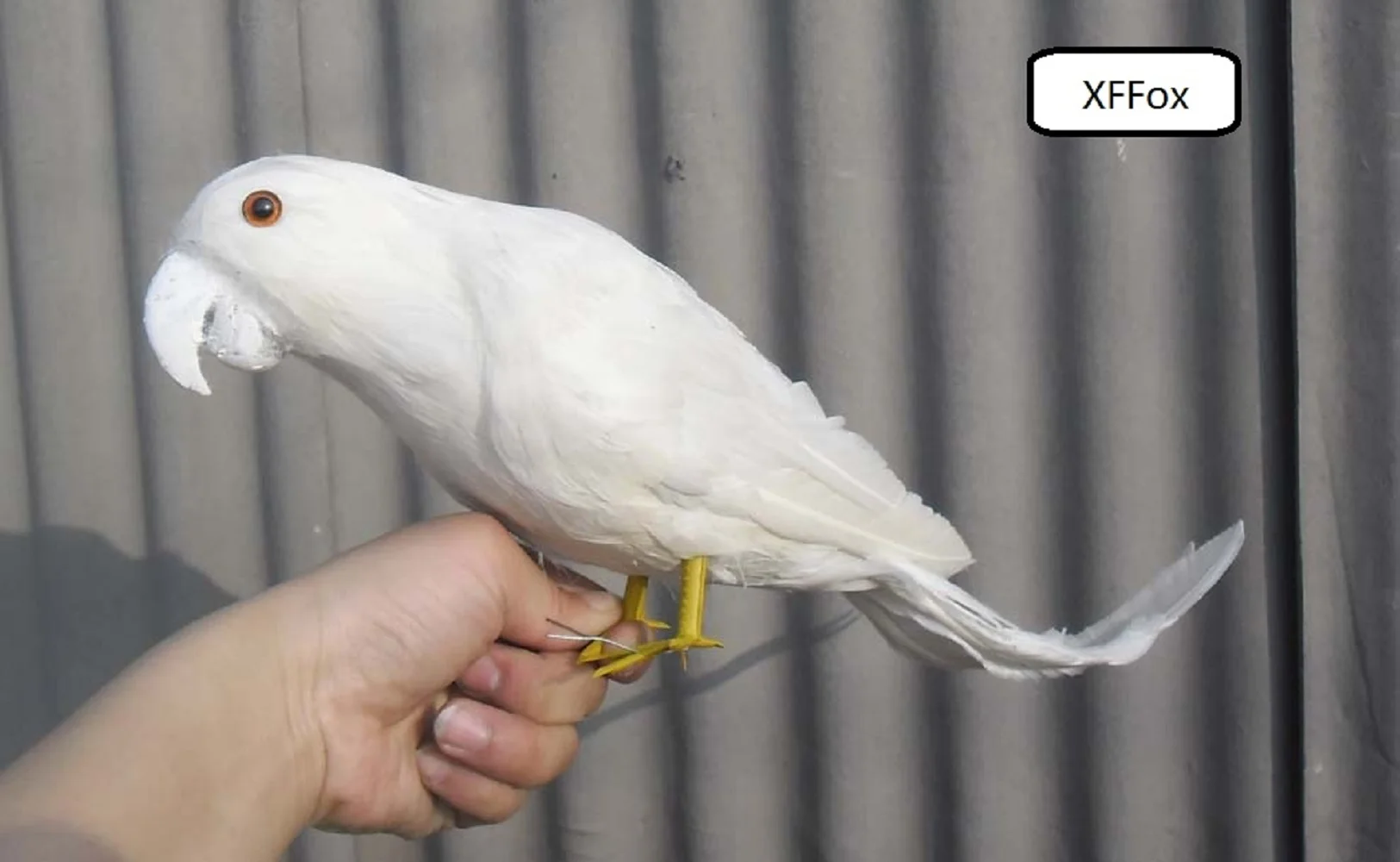 new real life white parrot model foam&feather simulation parrot bird gift about 40cm xf0158