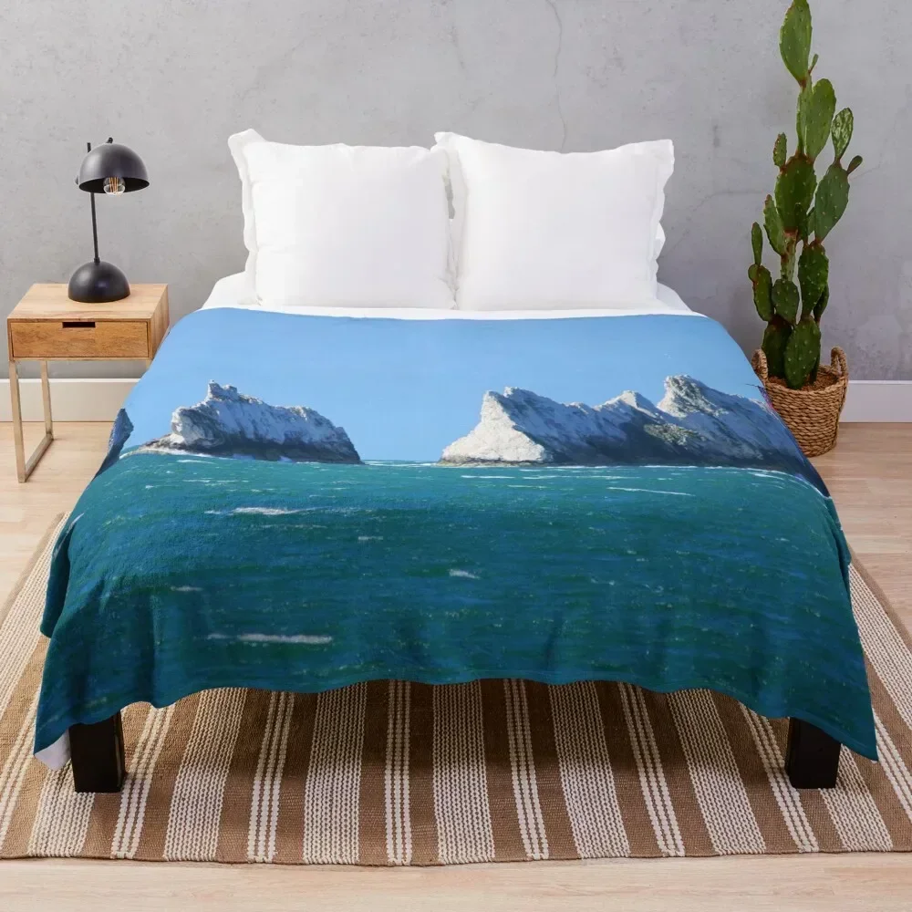 

The Needles Throw Blanket bed plaid Picnic Blankets