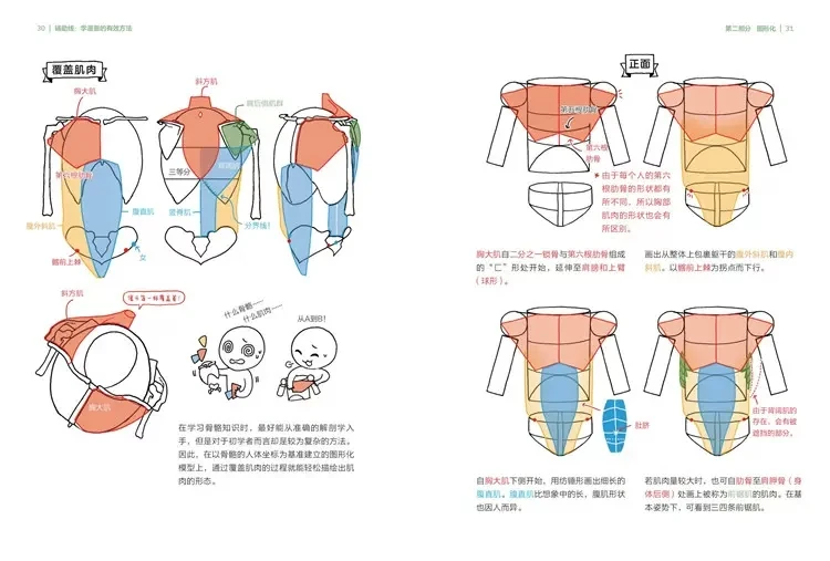 Animação Pintura Tutorial Art Book, Linha Auxiliar, Um Método Eficaz para Aprender Quadrinhos, Pintor Coreano Rinotuna