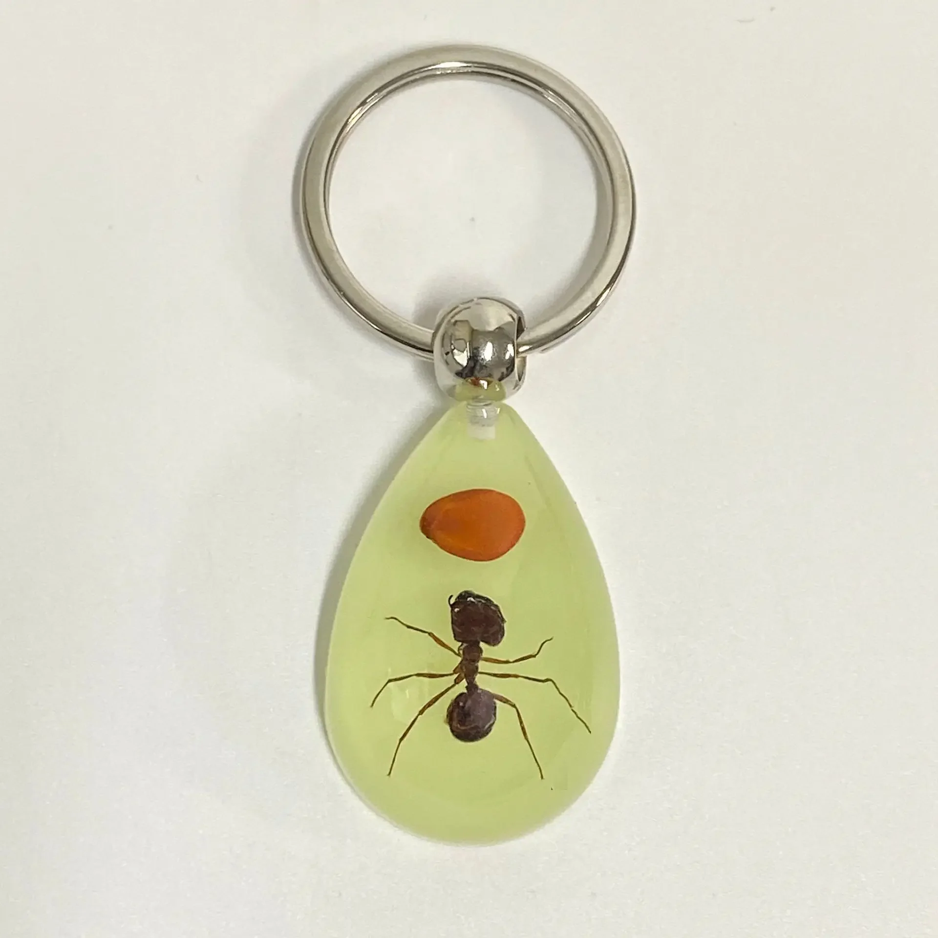 6 stuks insect specimen sleutelhanger, kunstmatige epoxyhars auto hanger, kantoorornament, insect amber hanger woondecoratie