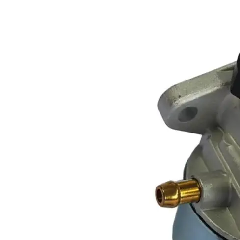 799868 Carburetor For B&S 694202 693909 692648 499617 498170 497586 498254 Garden Power Tool Accessories For Outdoor Garden