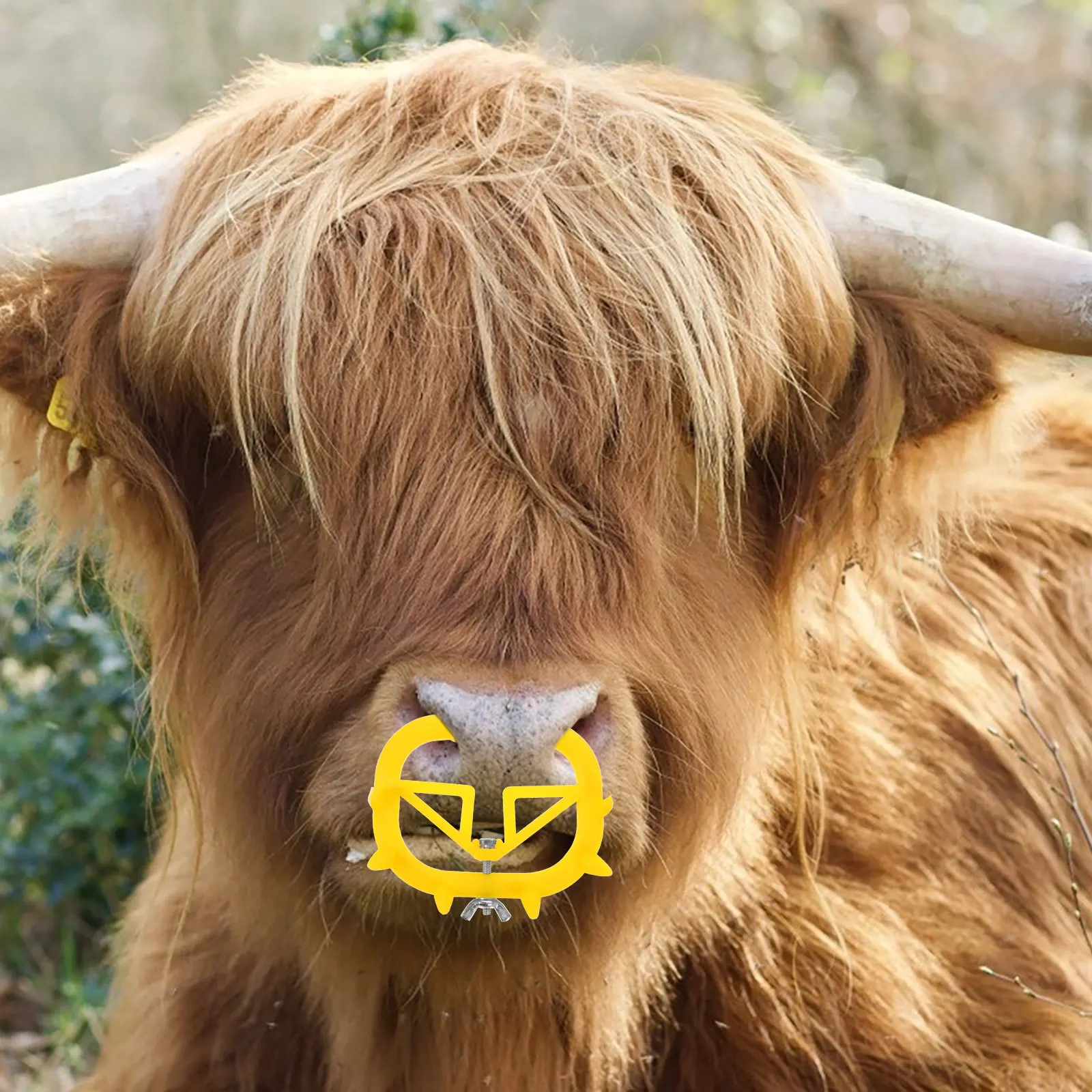 

20Pcs Plastic Calf Nose Clip Cattle Weaning Tool Safe and Comfortable Weaner for Calves Livestock Supply Cattle Weaner