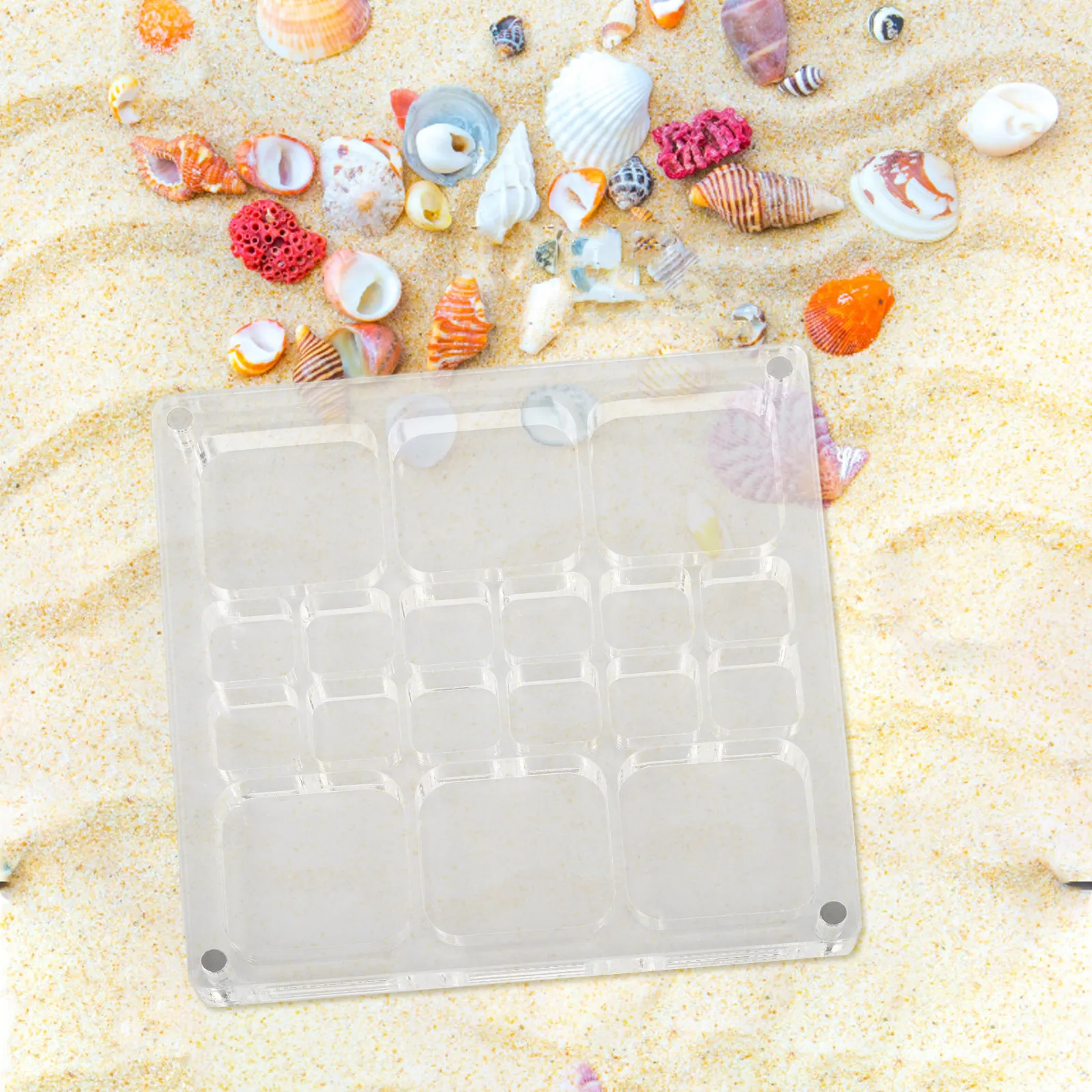 

Clear Acrylic Seashell Storage Box Multi-Grid Magnetic Organizer Frame For Beads Jewelry Nails Gemstones Trinkets Case