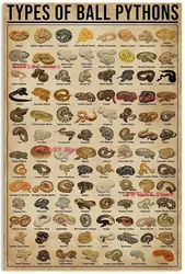 Types of Ball Pythons Poster Indoor Home Decoration Gift Wall Art Decoration Metal Plaque Poster Metal Sign 8X12 inches