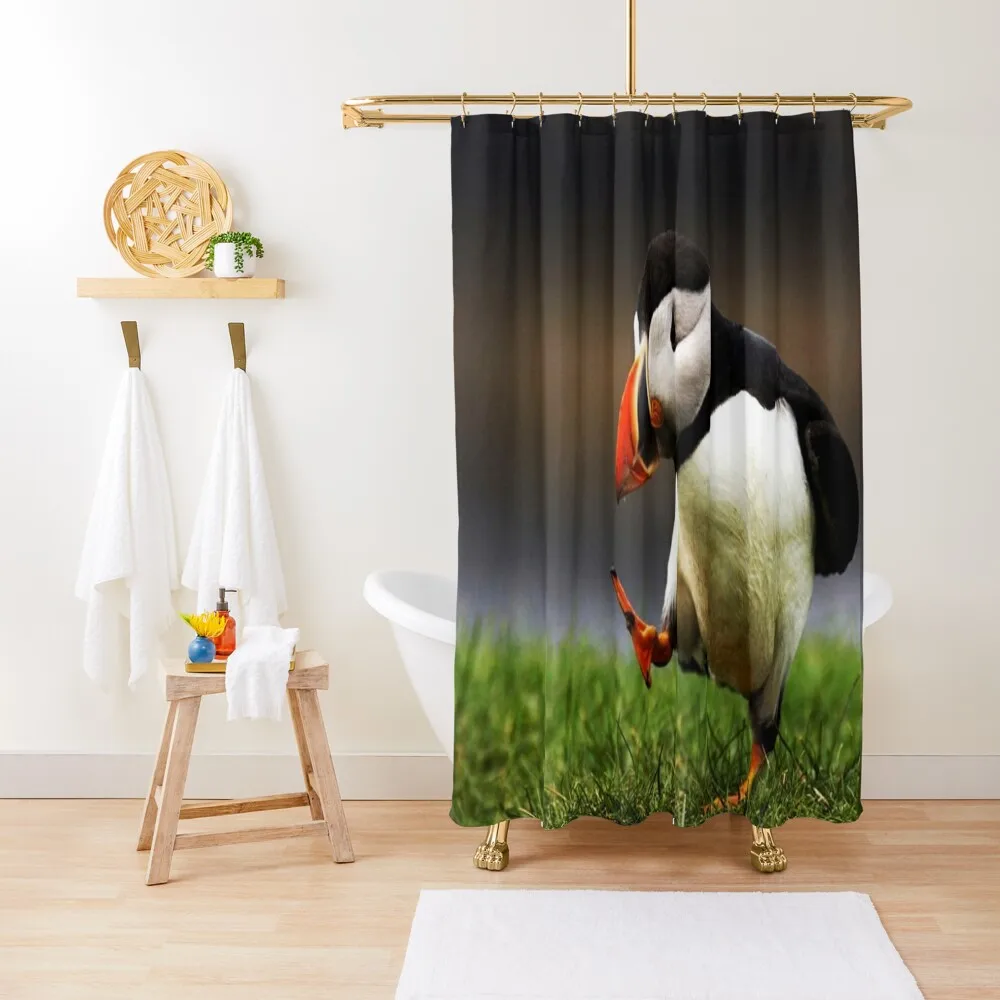 

Dancing puffin Shower Curtain Bathroom Accessorys Bathroom Accessory Curtain