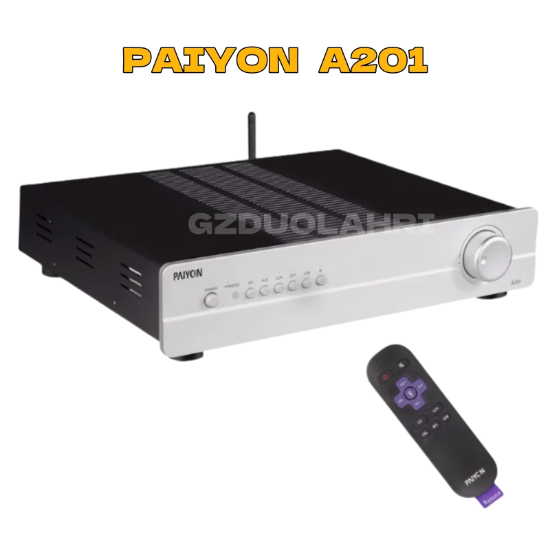 PAIYON A201 amplificador HIFI combinado multifuncional amplificador de fiebre de alta fidelidad