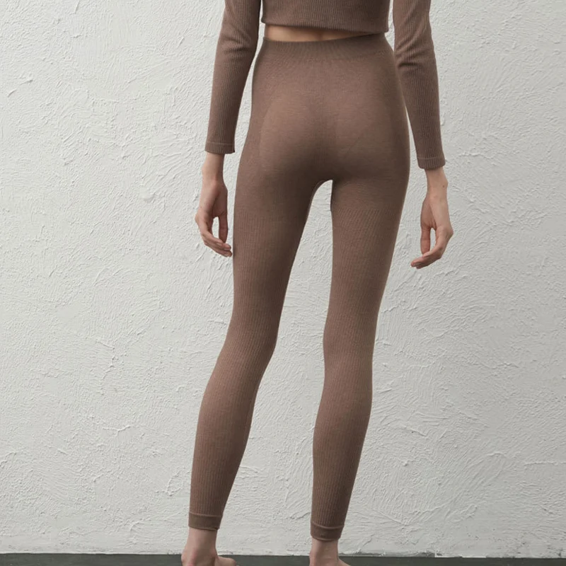 Woman Thermal Leggings, High Waisted, Silk Blend Fabric, Slim Basic Pants, 2023 Fall Winter Stretched Trousers, DALINN